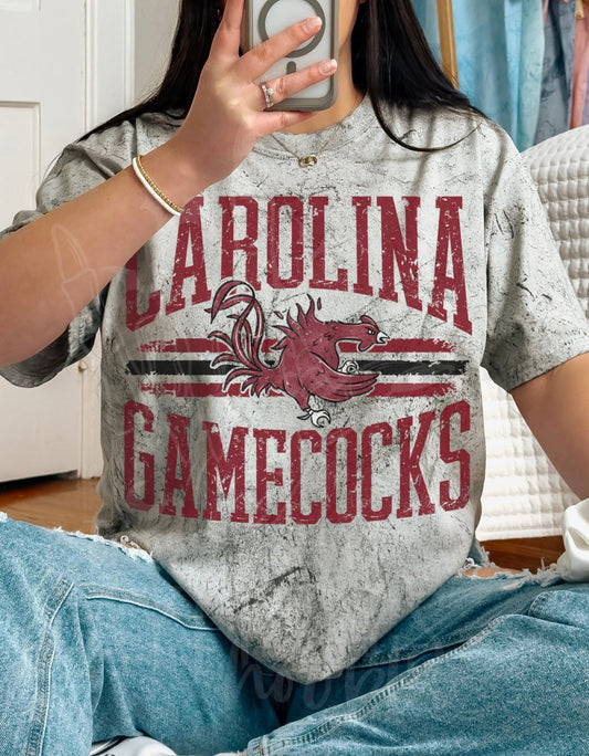 SEC/ACC on Color Blast Comfort Colors