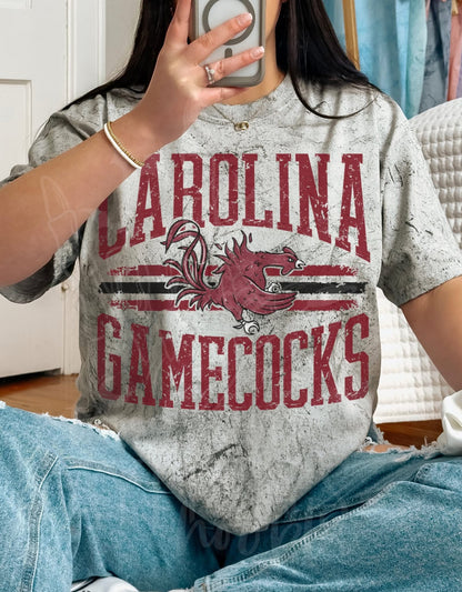 SEC/ACC on Unisex Sweatshirts